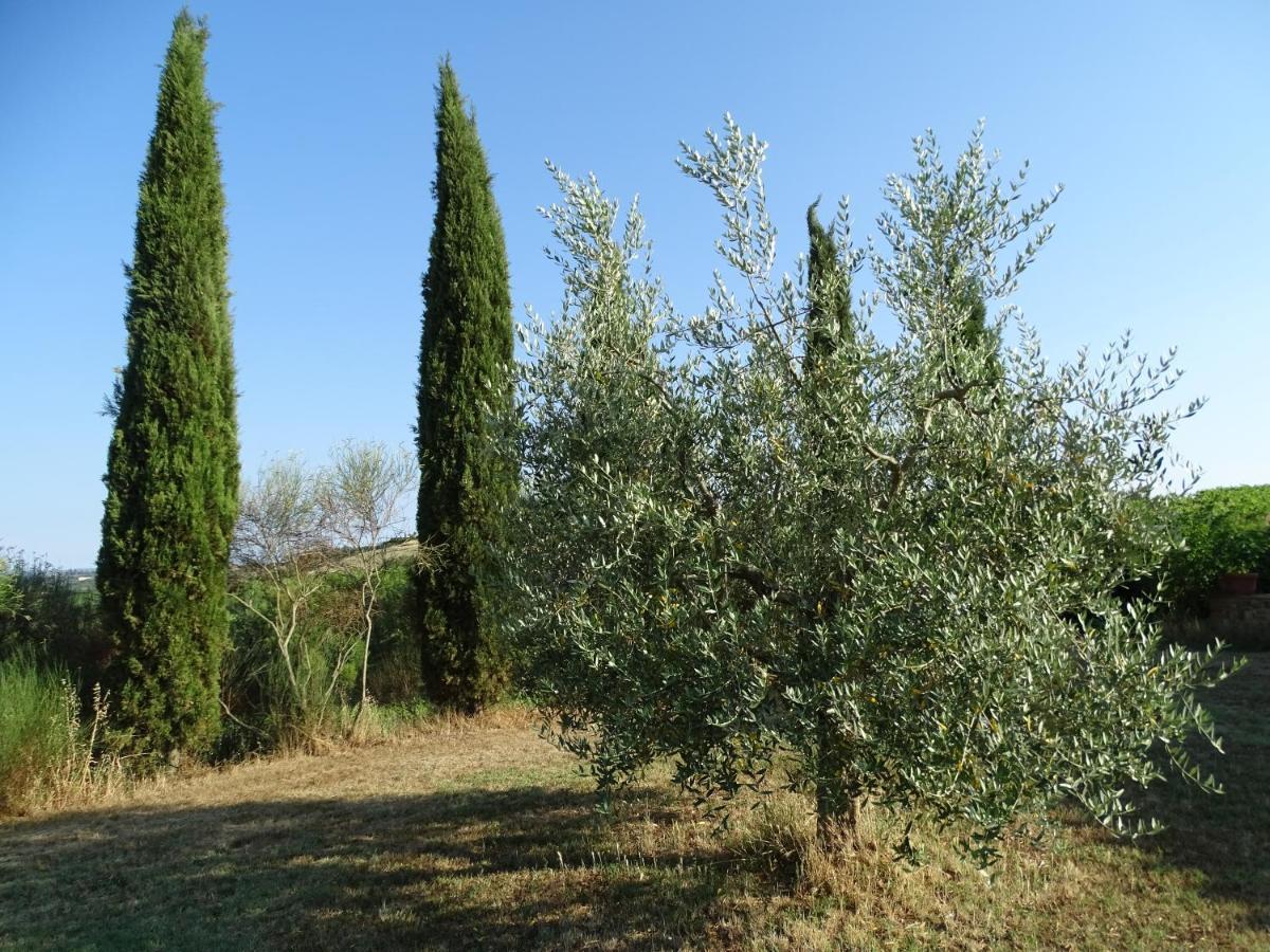 סן ג'ימיניאנו Teruzzi Country House מראה חיצוני תמונה