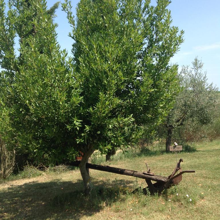 סן ג'ימיניאנו Teruzzi Country House מראה חיצוני תמונה