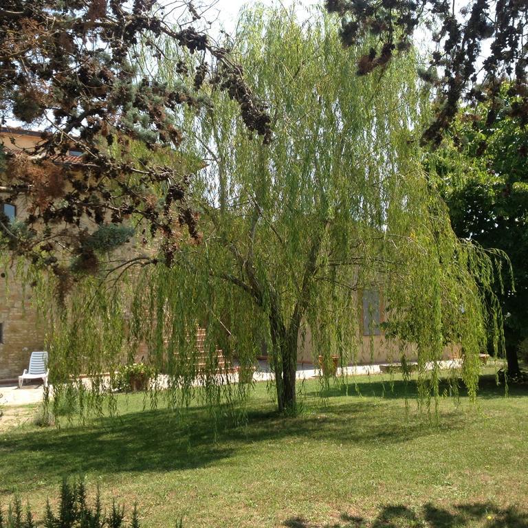 סן ג'ימיניאנו Teruzzi Country House מראה חיצוני תמונה
